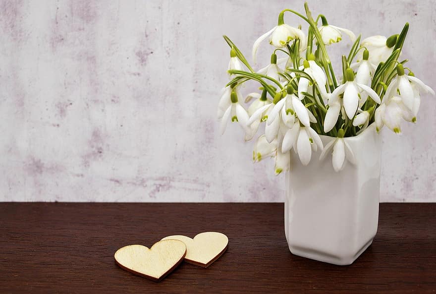 λευκόιο, λουλούδι, βάζο, φυτό, καρδιές, στολίδι, διακόσμηση, ανθίζει, φύση, ημέρα της μητέρας, αγάπη