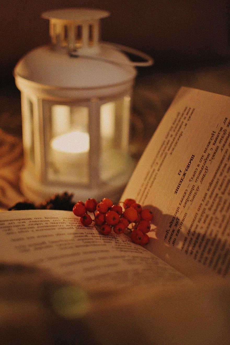 žvakė, knyga, uogos