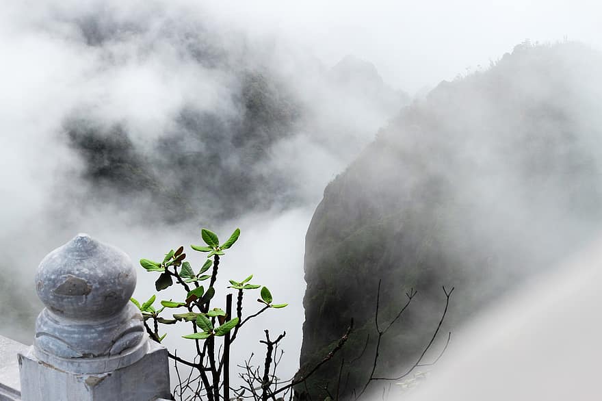 rock, niebla, plantas, cerros