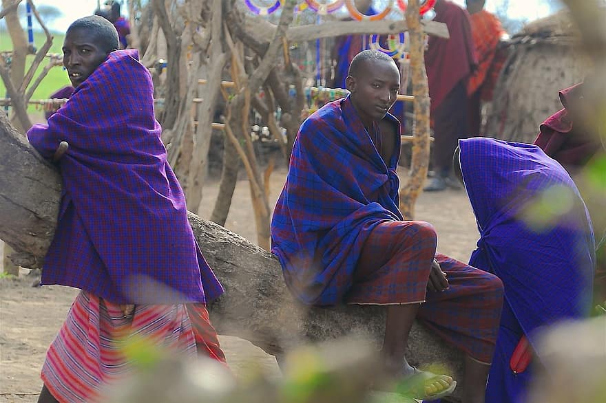 Maasai, เผ่า, แอฟริกา, พิธี, ชนพื้นเมือง, ประเทศแทนซาเนีย, Ngorongoro, ประเทศดั้งเดิม, ชุมชน, ร่อนเร่, ชนเผ่า
