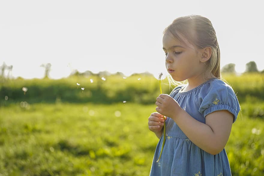 Dandelion, Little Girl, Make A Wish, Dandelion Fluff, Meadow, Flower, Nature, Outdoors