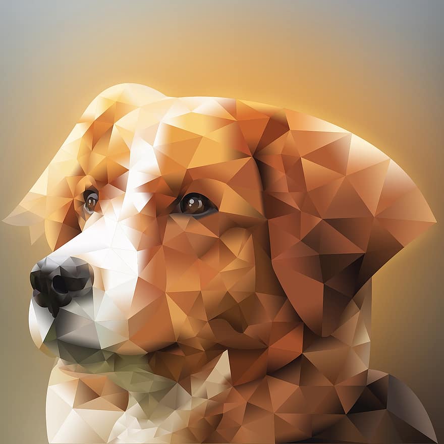 colorat, poligonal, câine, portret, animal, poli, poli scăzut, geometric, triunghiuri, animal de companie, drăguţ