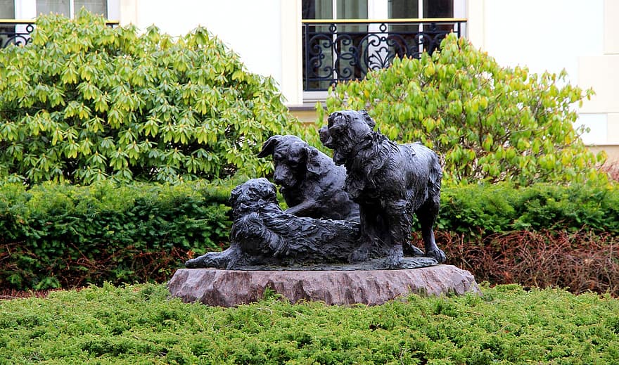 Statue, Dogs, Garden, Decoration, Display, Art, Sculpture, Bush, dog, pets, canine