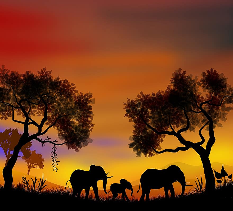 landskap, illustrasjon, elefanter, dyr, Afrika, solnedgang, aftenen, himmel, skyer, varmt, varme