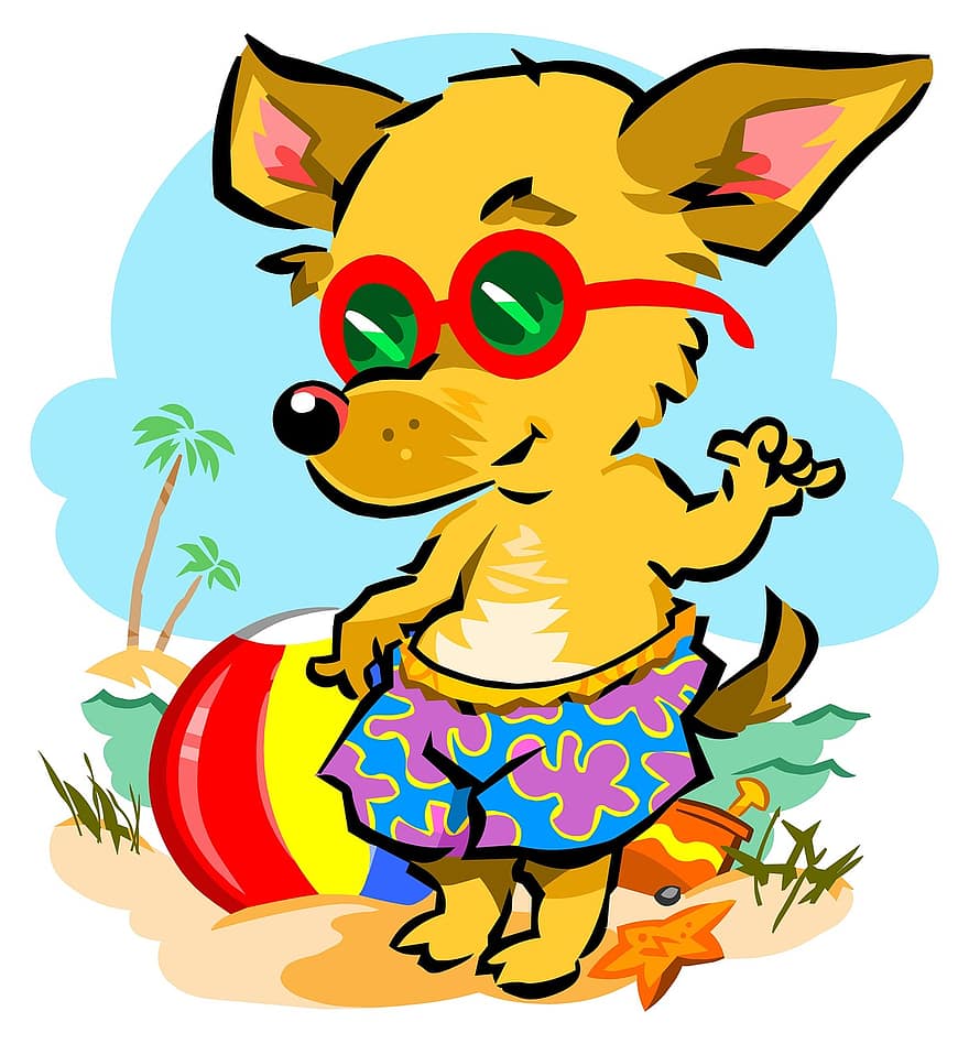 pantai, chihuahua, anjing, membelai, hewan, musim panas, doggy, kacamata, liburan musim panas, anjing lucu, meksiko