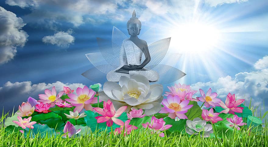 медитация, йога, духовен, Буда, Мандела, цветен, магия, отпускащ, медитирам, спокоен, цветя