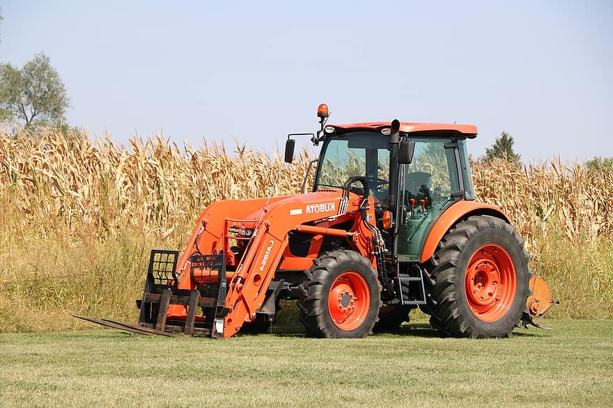 traktor, ladang jagung, mesin, bidang, pemandangan, forklift, peralatan pertanian