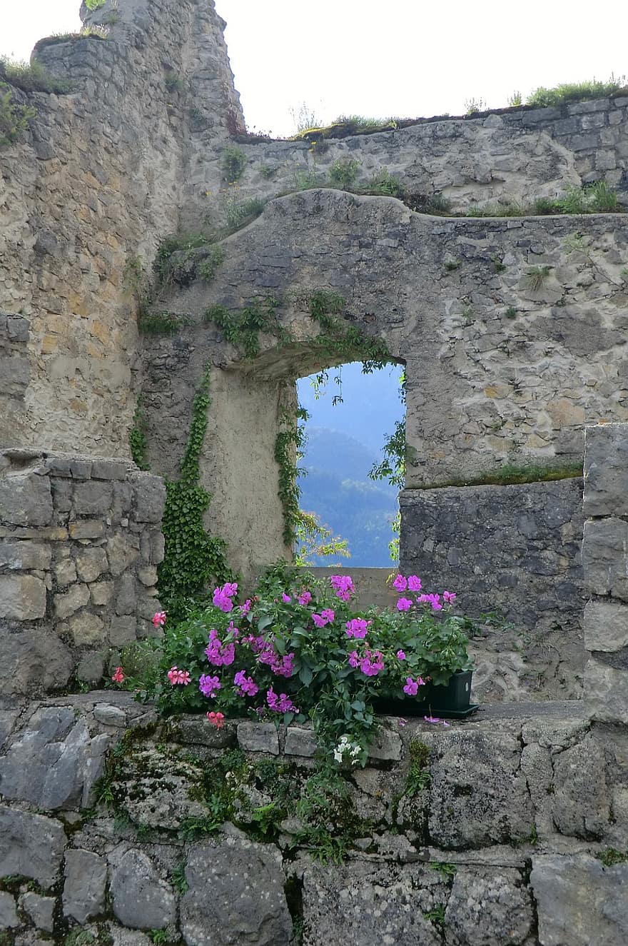 руїни, цегляна стіна, рослини, краєвид, замок, Австрія, квіти