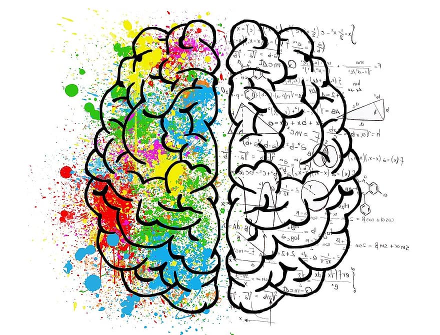 cerebro, mente, psicología, idea, dibujo, doble personalidad, pensamiento, caos, duda, mente abierta, materia gris