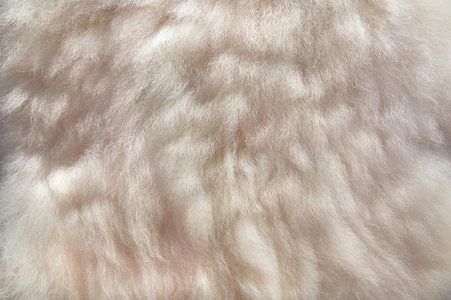 pêlo de animal, velo, Casaco de animal, Pelo branco, fibra, fundo, tecido