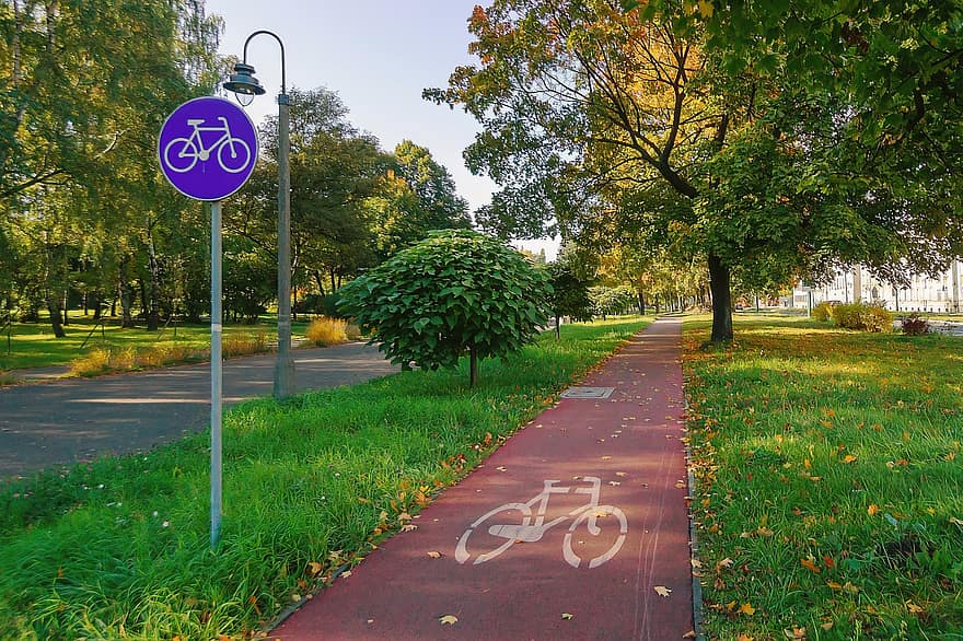 велосипедная дорожка, парк, городской парк