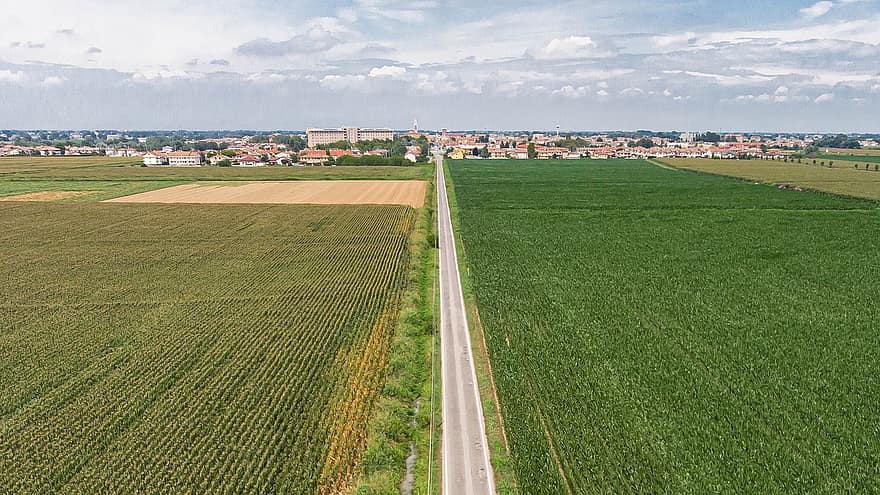 campagne, des champs, ville, sant'angelo lodigiano, Italie, cultures, champs verts, route, agriculture, lombardie, Lodi