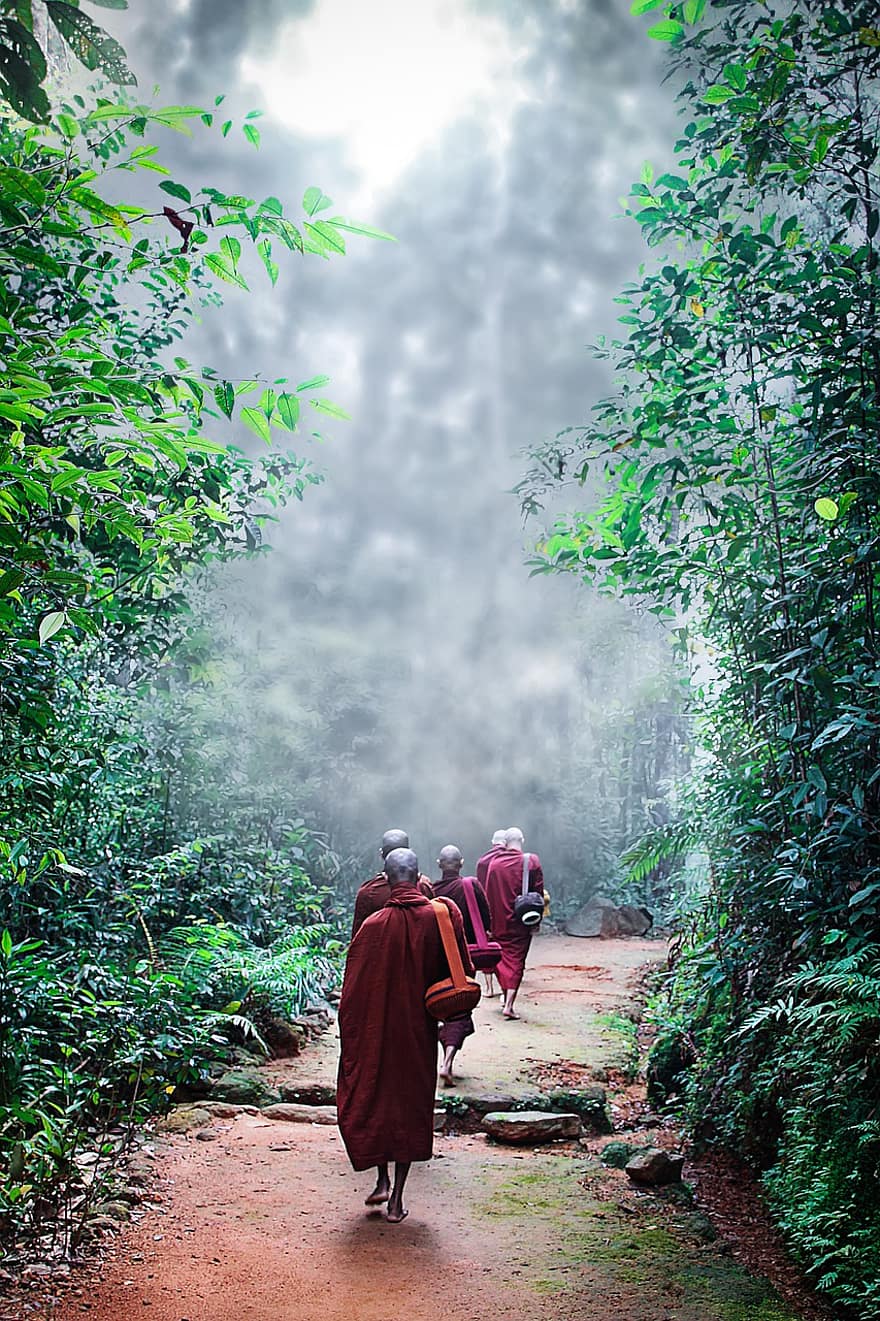 μοναχοί, βουδιστής, μοναστήρι, μονοπάτι, δέντρα, φύλλα, φύλλωμα, theravada buddhism, bhikkhu, theravada, παράδοση
