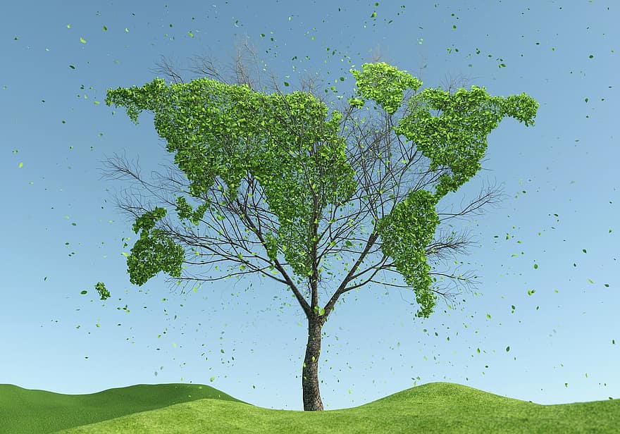 boom, wereldkaart, duurzaamheid, natuur, milieu, ecologie, bladeren, gebladerte, groen, 3D weergegeven