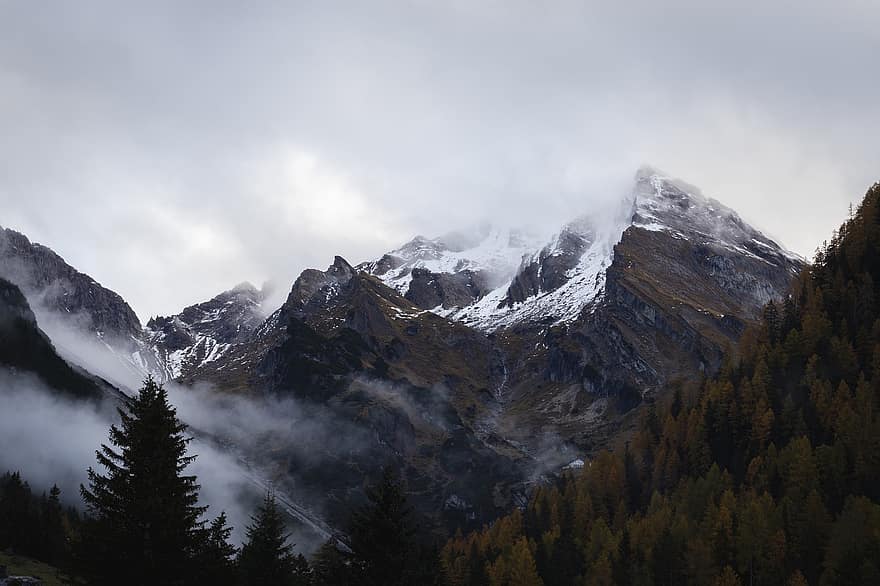 góry, krajobraz, śnieg, pokryte śniegiem, mgła, pasmo górskie, górzysty, Alpy, alpejski, drzewa