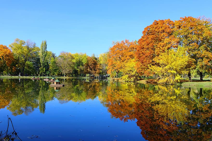 natur, udendørs, sø, Skov, Skopje, Makedonien, parkere, efterår