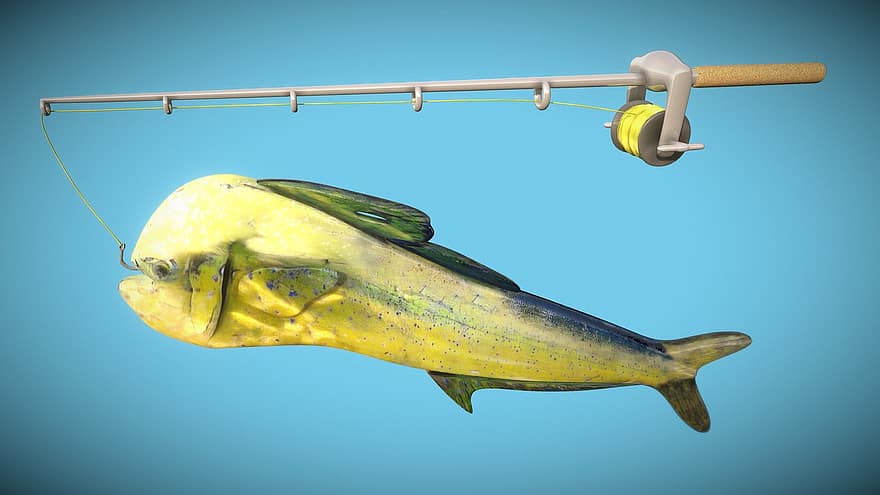 سمكة الهلبوت ، سمك ، صيد السمك ، تقديم 3D
