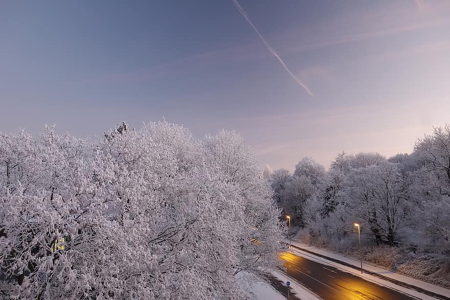 冬、木、道路、天国、飛行機雲、白、霜、フローズン、コールド、雪