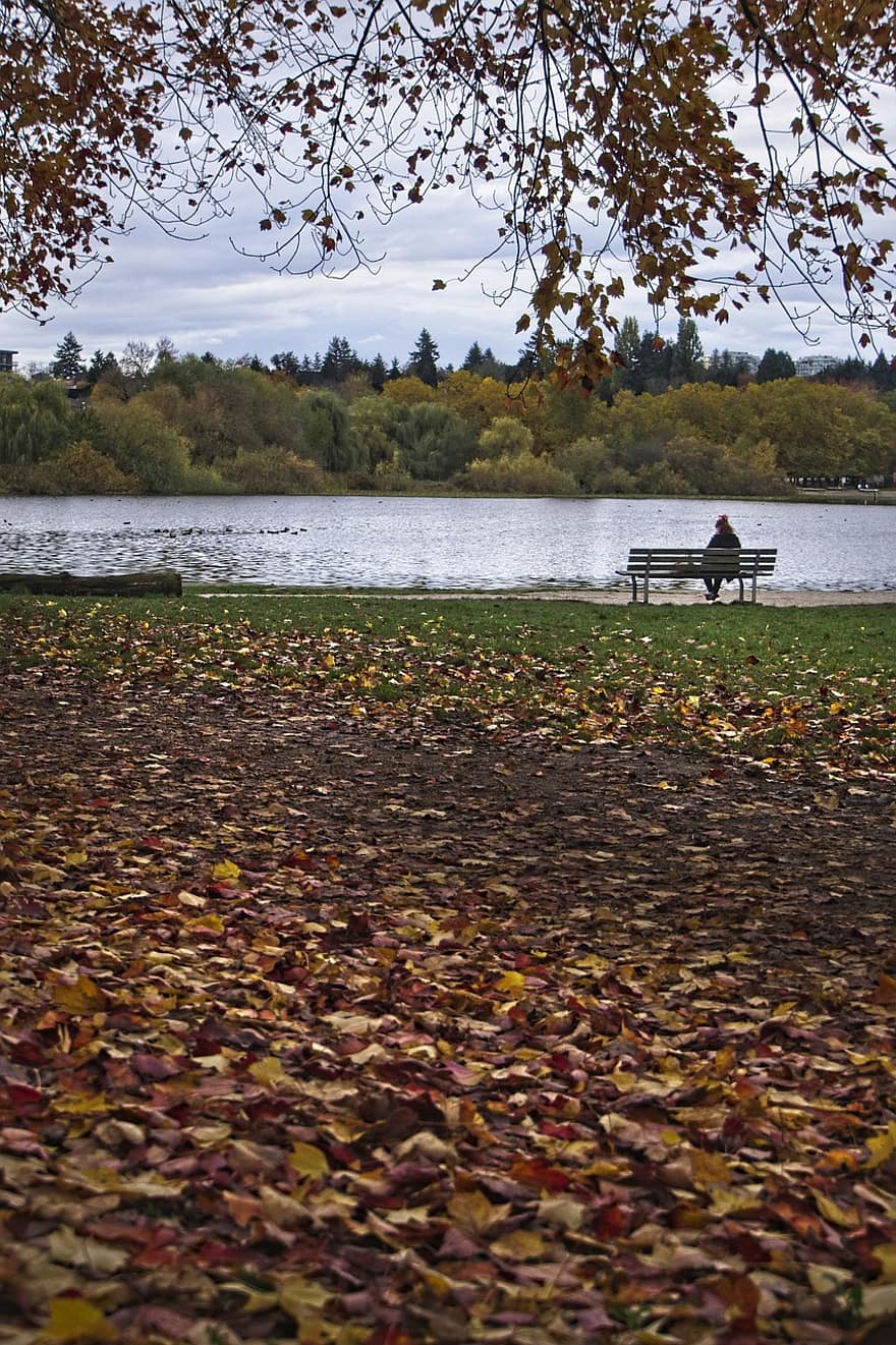 парк, озеро, падать, осень, листья, листва, поле, природа, скамейка, женщина, лист