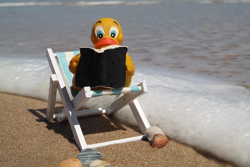 kaczka, fala, książka, morze, plaża, krzesło