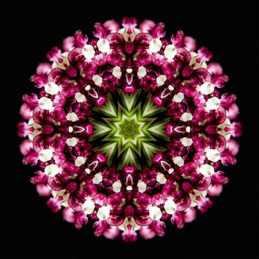 Kunst, Blumen-, Rosette, Mandala, Kreis, Ornament, abstrakt, blühen