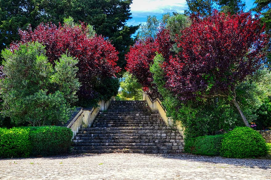 escalier, pierre, escaliers, jardin, zone verte, romantique