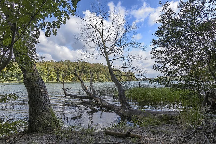 Jezioro Lipnitz, jezioro, woda, las, drzewa, Natura, krajobraz, odbicie wody, odbicie, na dworze, niebo