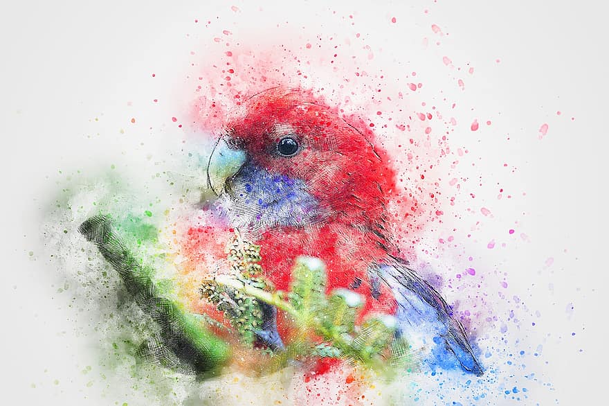 pták, Papoušek, peří, vodové barvy, zvíře, barvitý, vinobraní, Příroda, umělecký, tapeta na zeď, akvarel