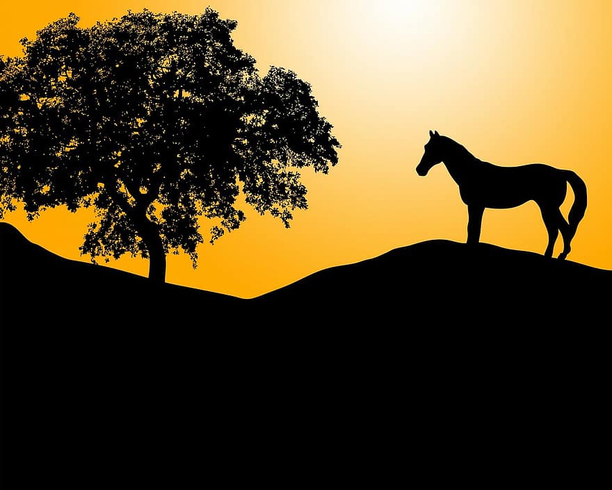 cavall, poni, animal, equí, negre, silueta, posta de sol, sortida del sol, arbre, taronja, turó