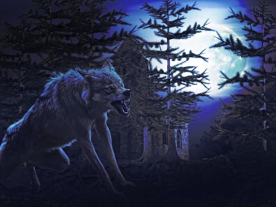Απόκριες 2019, λύκος, φεγγάρι, Νύχτα, δάσος, σεληνόφωτο, σκοτάδι, μυστηριώδης, φαντασία