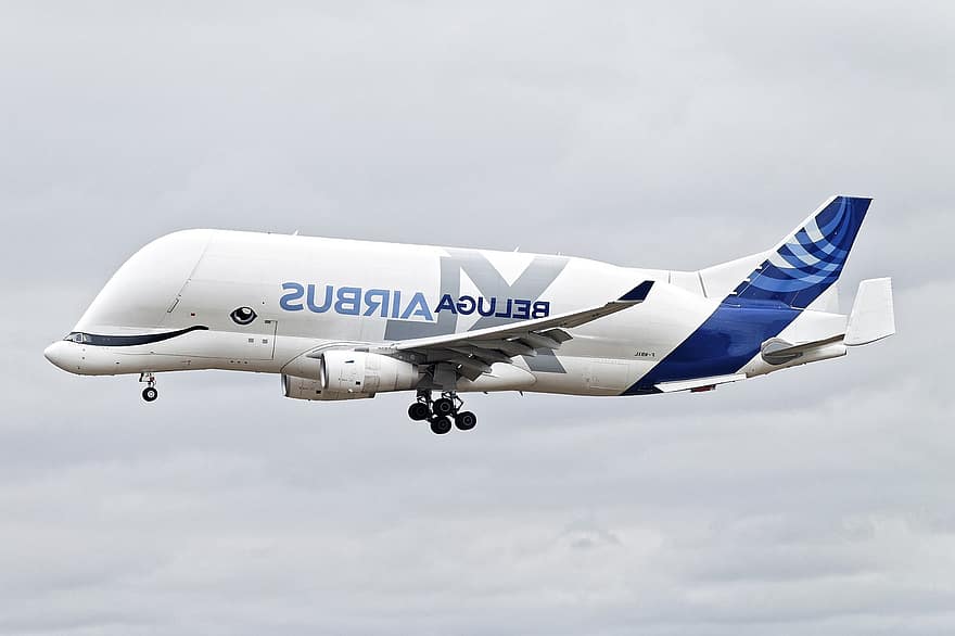 airbus, Airbus Beluga, fly