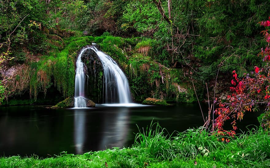 waterval, rivier-, natuur, falls, water, Bos, bomen, gras