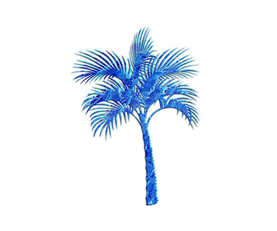 Palmu, lehdet, lehvistö, trooppinen, loma
