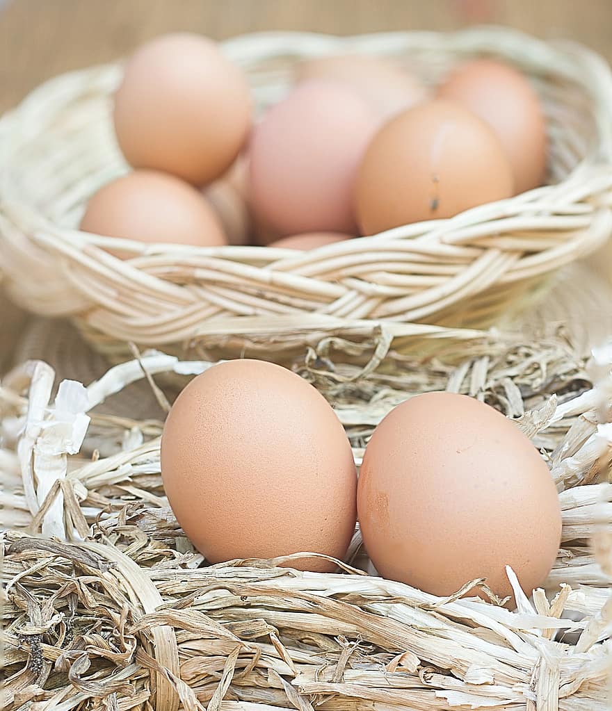 des œufs, œufs de poule, oeufs frais, aliments, oeuf animal, fermer, fraîcheur, nid animal, ferme, biologique, panier