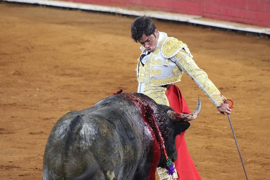Toró, torero, bikák, bullfighters, Cumshot, taurin, köztér, kosztüm