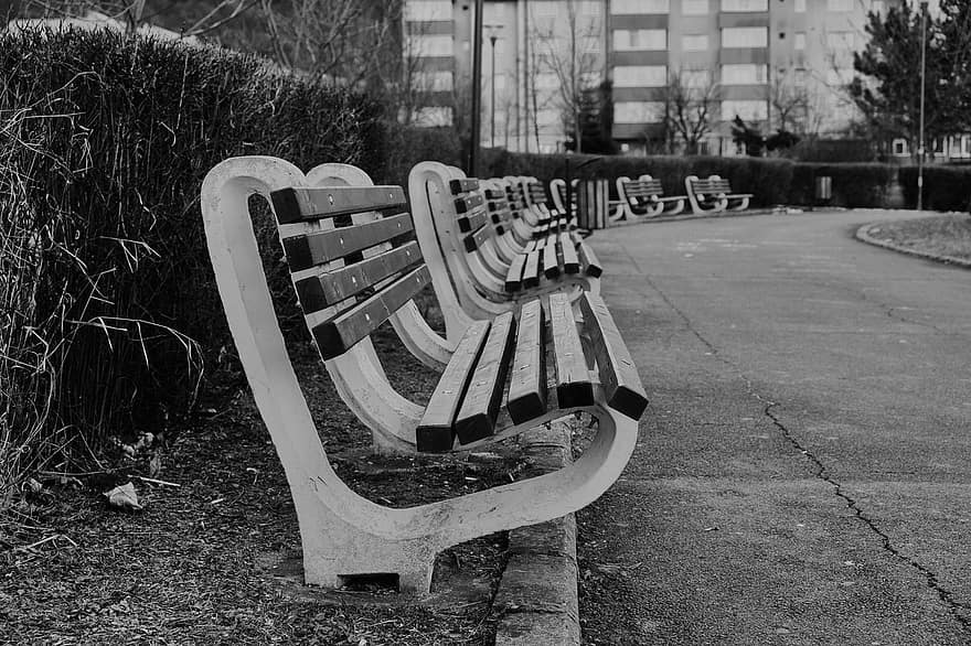 скамейка, парк, монохромный, сиденье