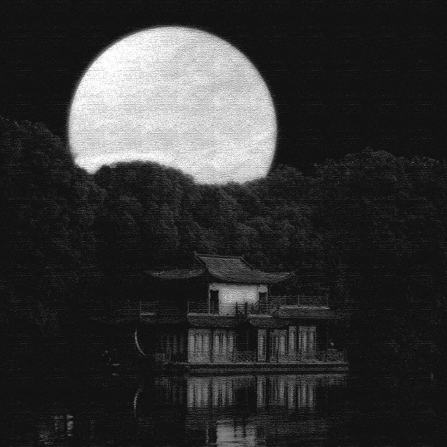 Lac, maison, lune, nuit, des arbres, clair de lune, foncé, art, noir et blanc, Japon, paysage