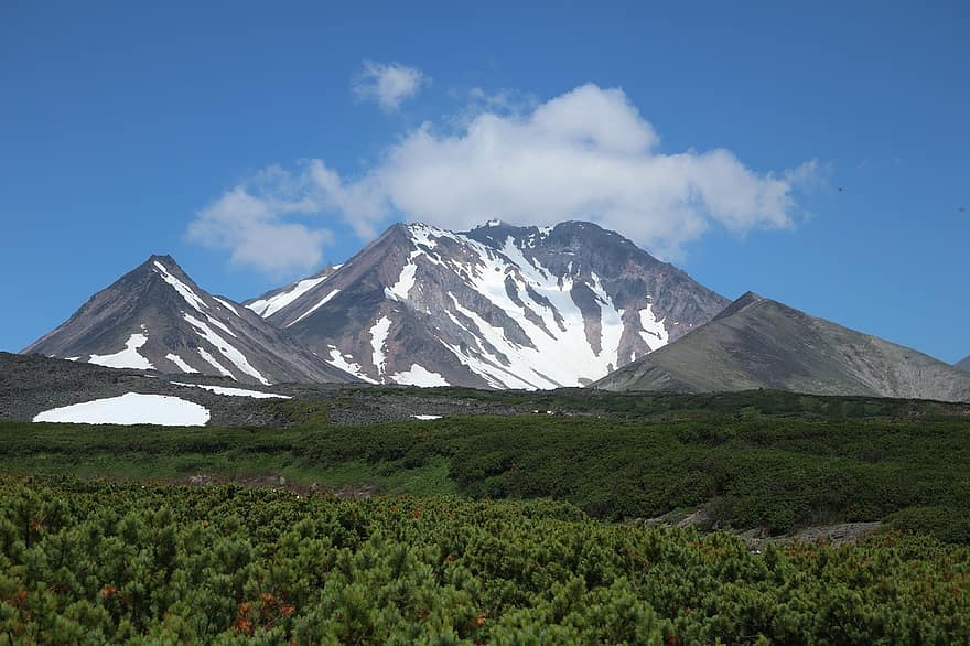 volcans, muntanyes, Kamchatka, estiu, clar, els arbustos
