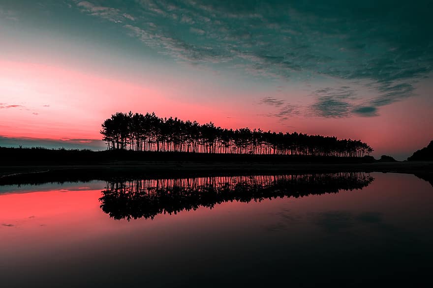 puesta de sol, lago, arboles, silueta, amanecer, reflexión, agua, banco, naturaleza, cielo, nubes