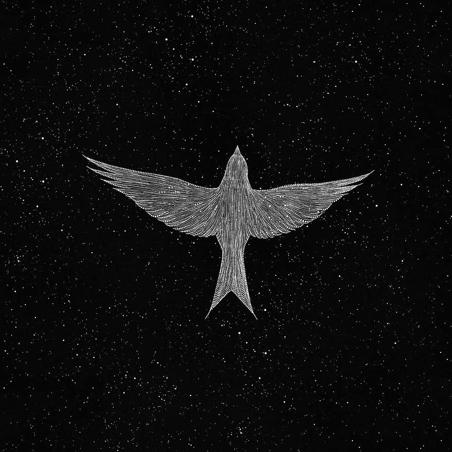 Галактическая птица. Звезда с крыльями. Галактическая птица Минимализм. Крылья и небо в звездах. Микрофон Крылья и звезда чб композиция.