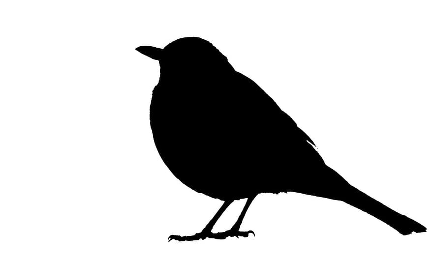 svarttrost, silhouette, svart, fugl, dyr, design, symbol, ikon, logo, form, omriss