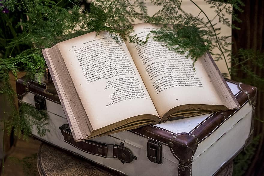 Book, Pages, Text, Suitcase, Plants