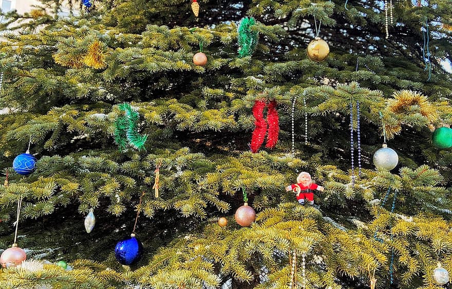 شجرة عيد الميلاد ، يوم الاجازة ، الموسم ، زخرفة ، عيد الميلاد ، شجرة ، احتفال ، شتاء ، هدية مجانية ، زينة العيد ، زينة عيد الميلاد