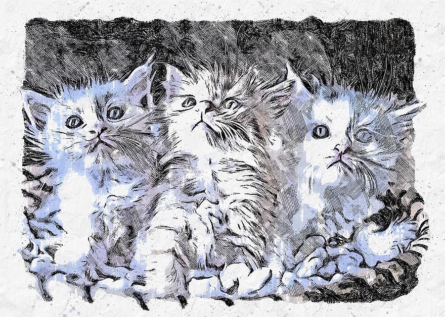 коты, животное, млекопитающее, Рисование, эскиз, котята, котенок, кошачий, Изобразительное искусство