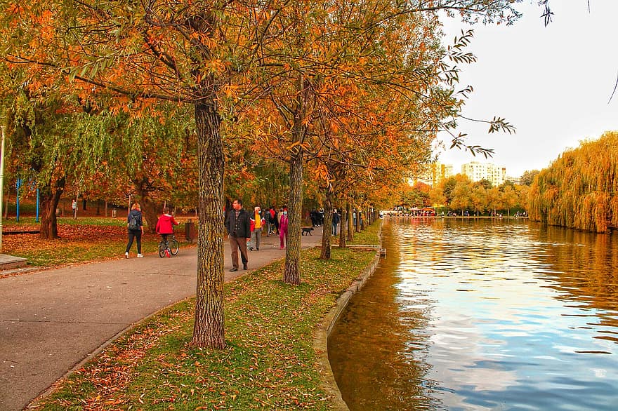 езеро, парк, падане, есен, Румъния, Букурещ