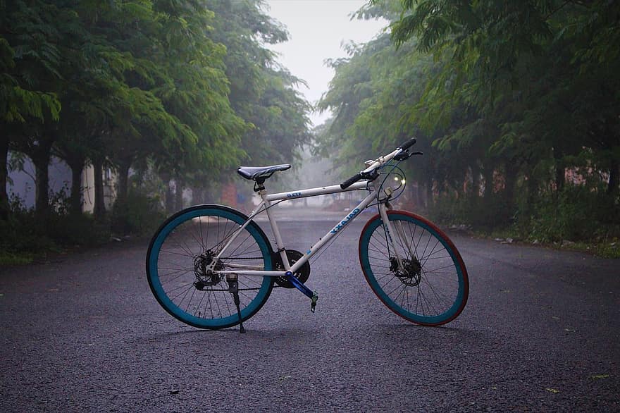 dviračiu, ryte, rūkas, saulėtekis, pratimas, miesto centre, lauke, pobūdį, kraštovaizdį