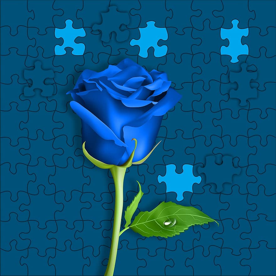 Plant, Flowers, Flower, Rosa, Pink Blue, Puzzle, Background, Texture