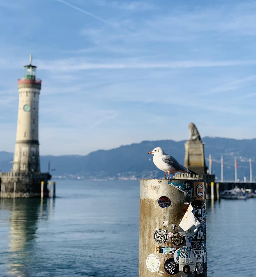 Gull, Bird, Lighthouse, Port, Lake Constance