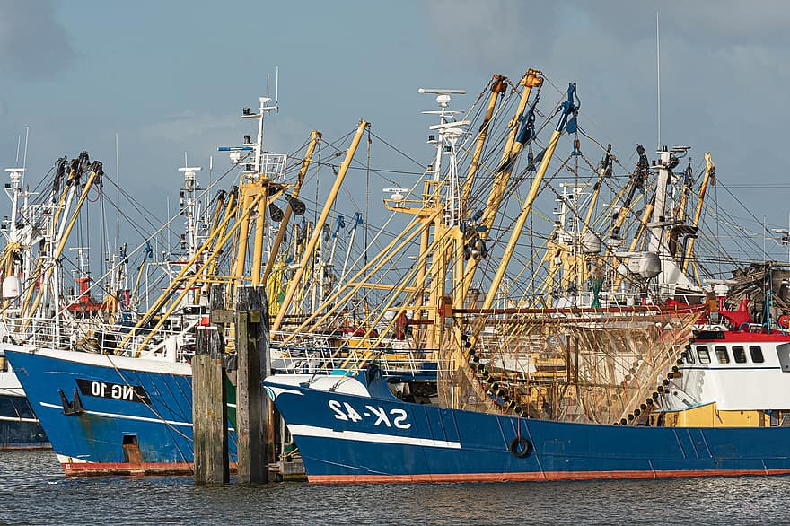 łodzie rybackie, Port, Holandia, rybołówstwo, statki, flota, przemysł rybołówczy, statek morski, dok handlowy, transport, przemysł