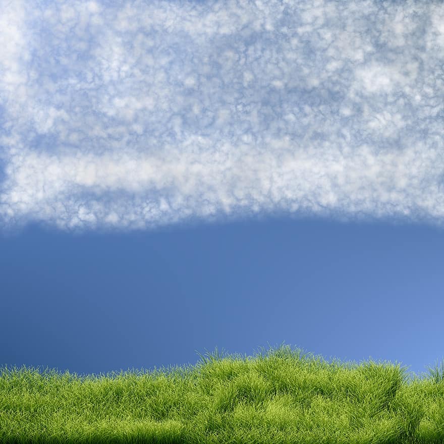 Chmura, trawa, niebo, roślina, krajobraz, lato, Zielony, Natura, na wolnym powietrzu, pora roku, trawnik